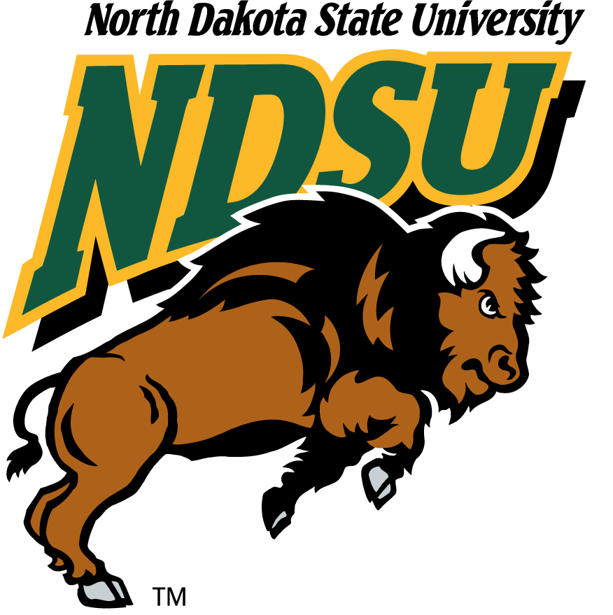 North Dakota State Bison 1999-2012 Primary Logo diy iron on heat transfer